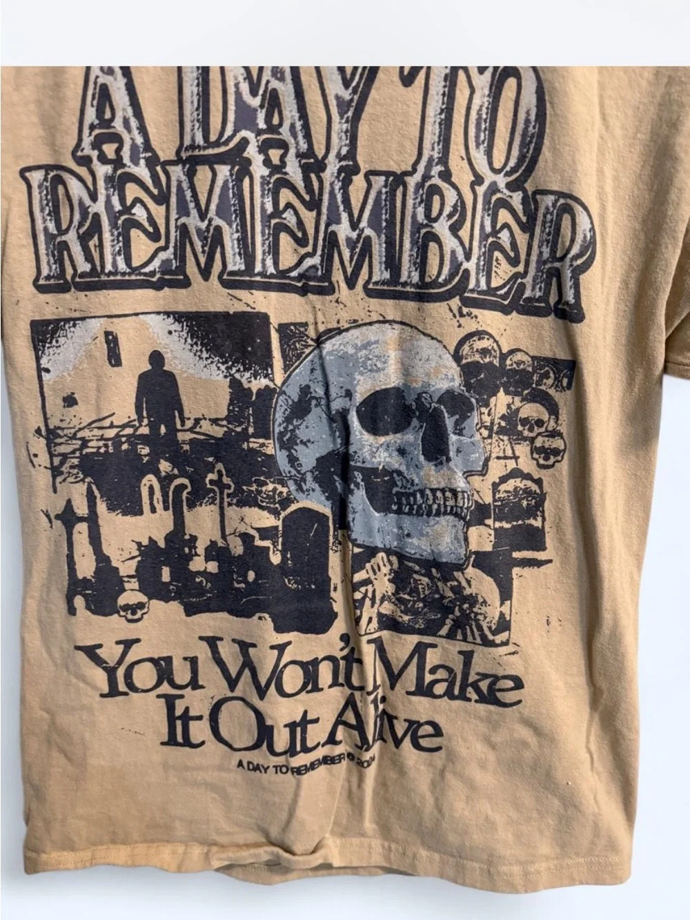 American Apparel Brown Graphic 'A Day To Remember' Tee